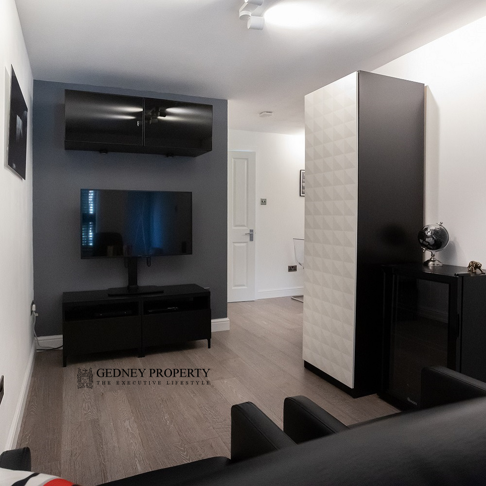18_carters_walk_room_cinema_EA_fridge_1000_1000_v1.png