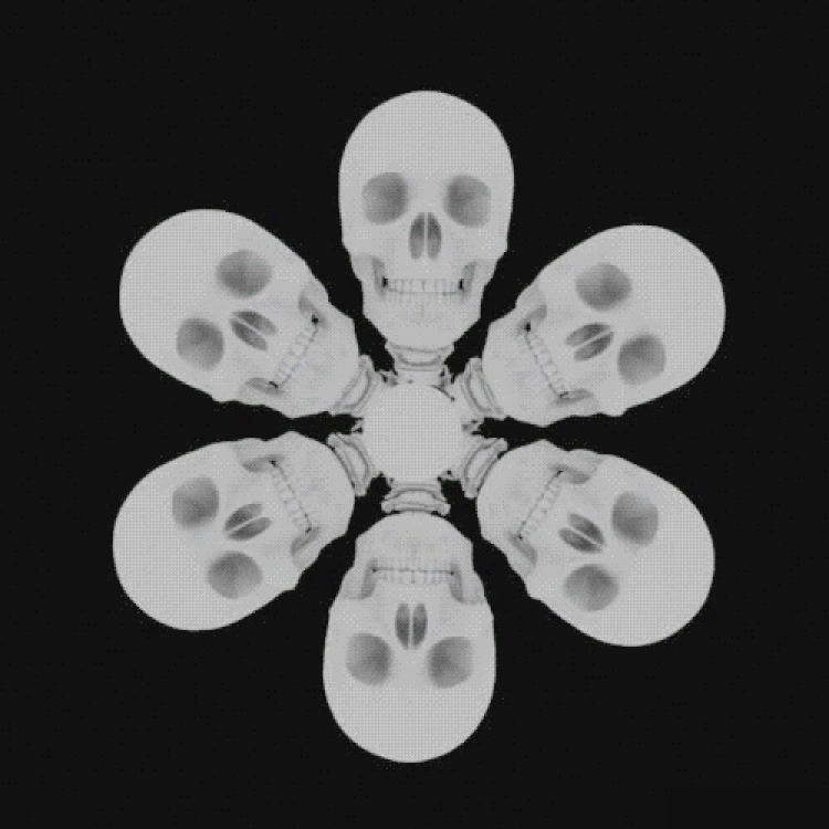 The Slow Death of Crypto Anarchism