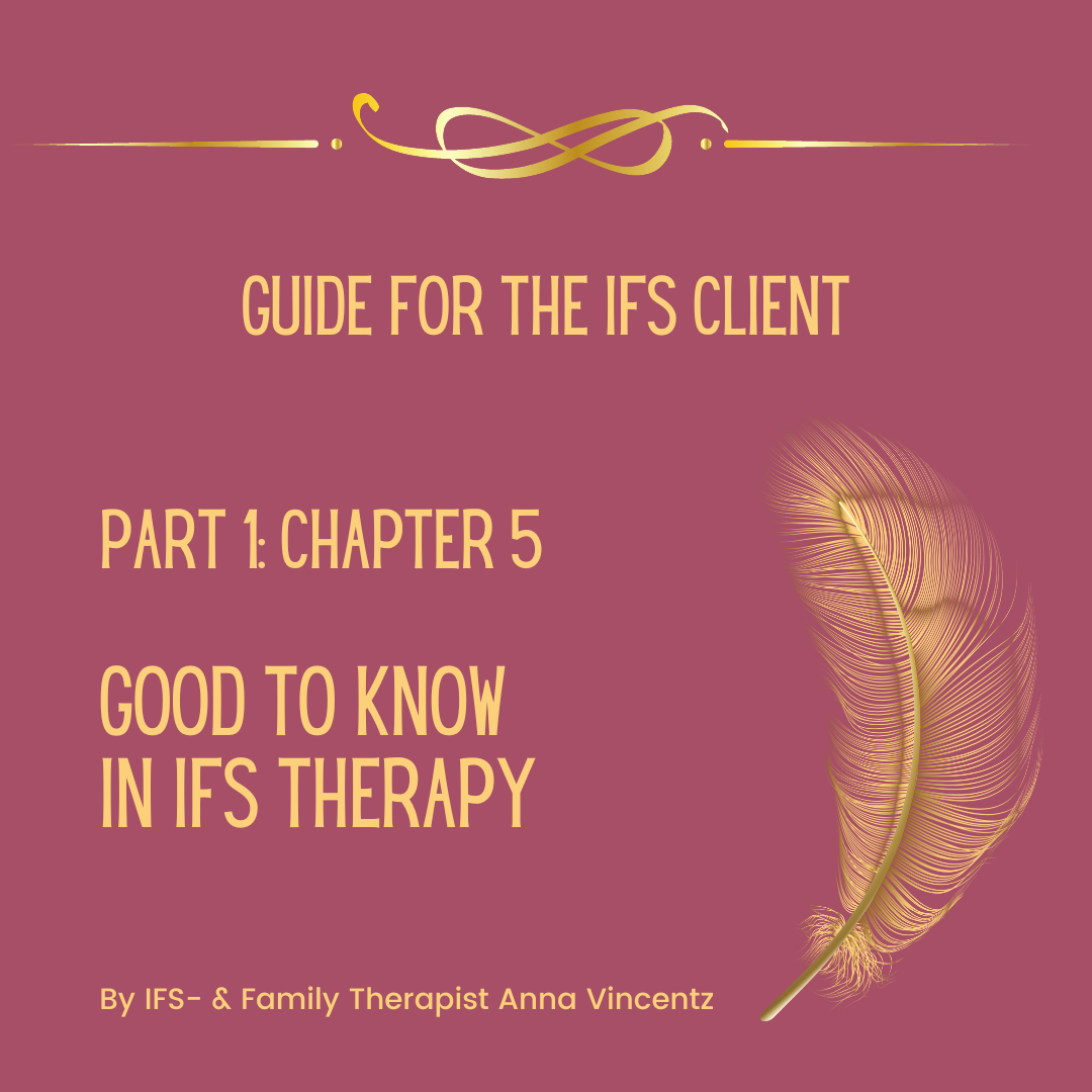 Guide for the IFS Client: Chapter 5: Good to know in IFS therapy