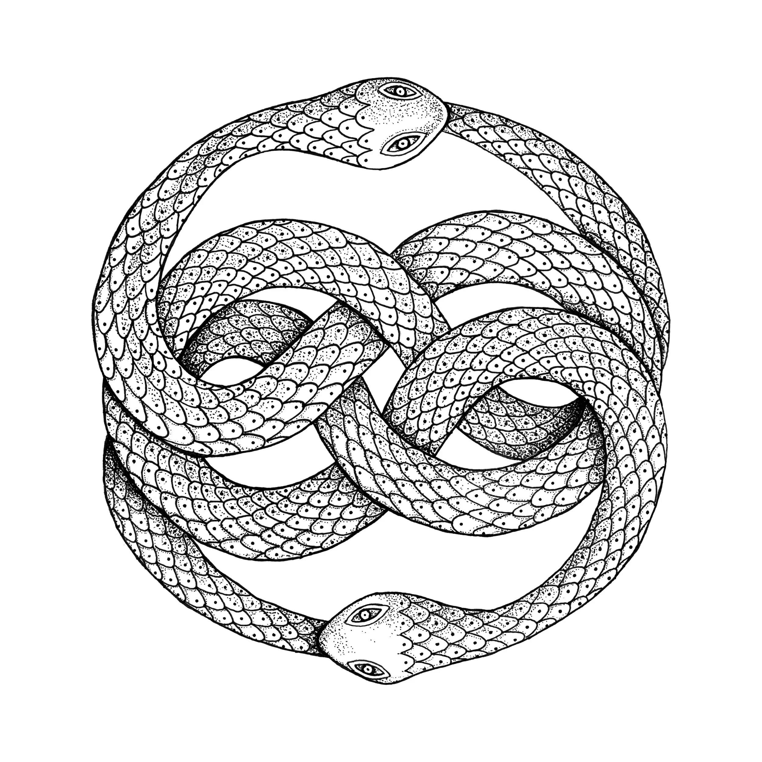 auryn-high-res-5000x5000.jpg