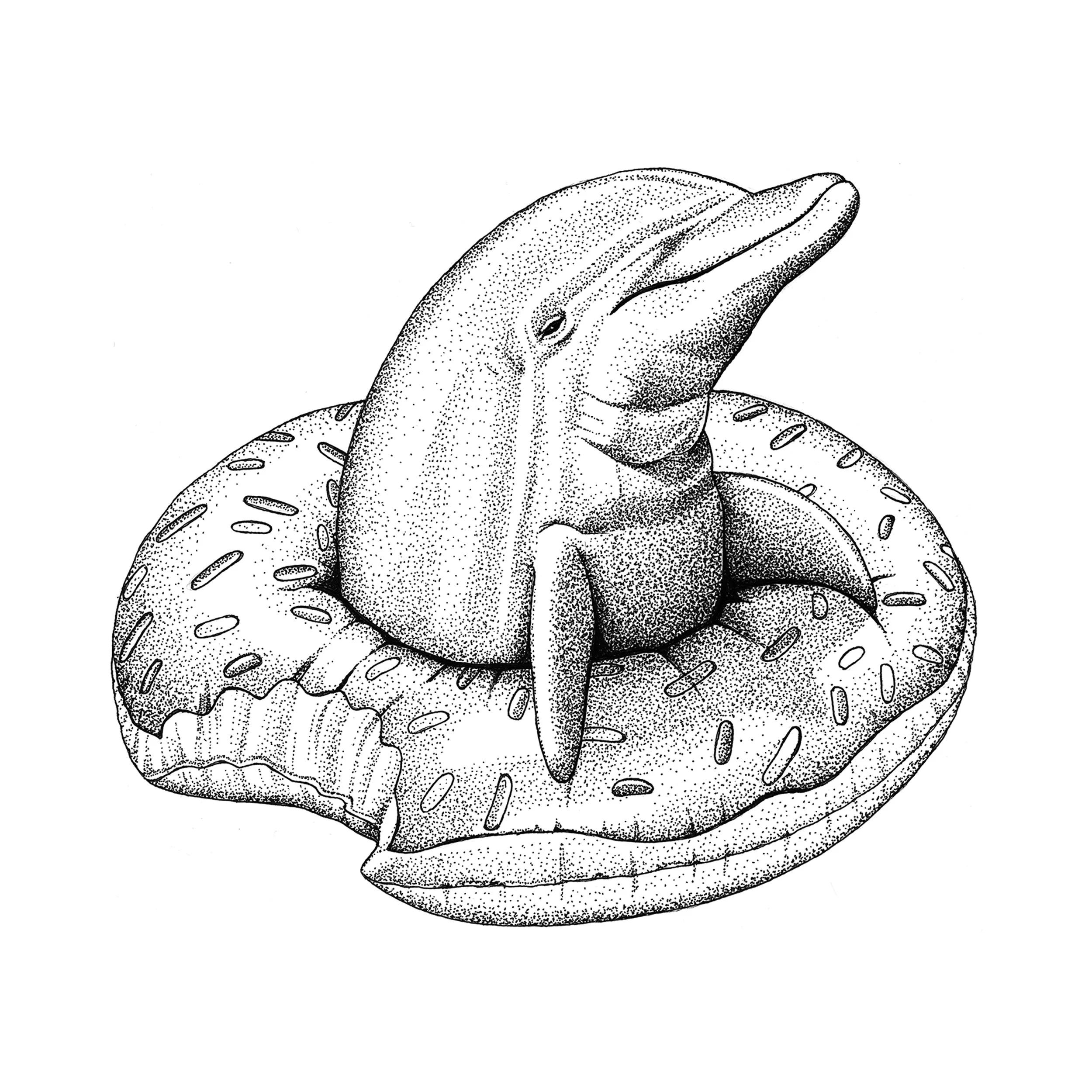 dunkin-dolphin-high-res-5000x5000.jpg