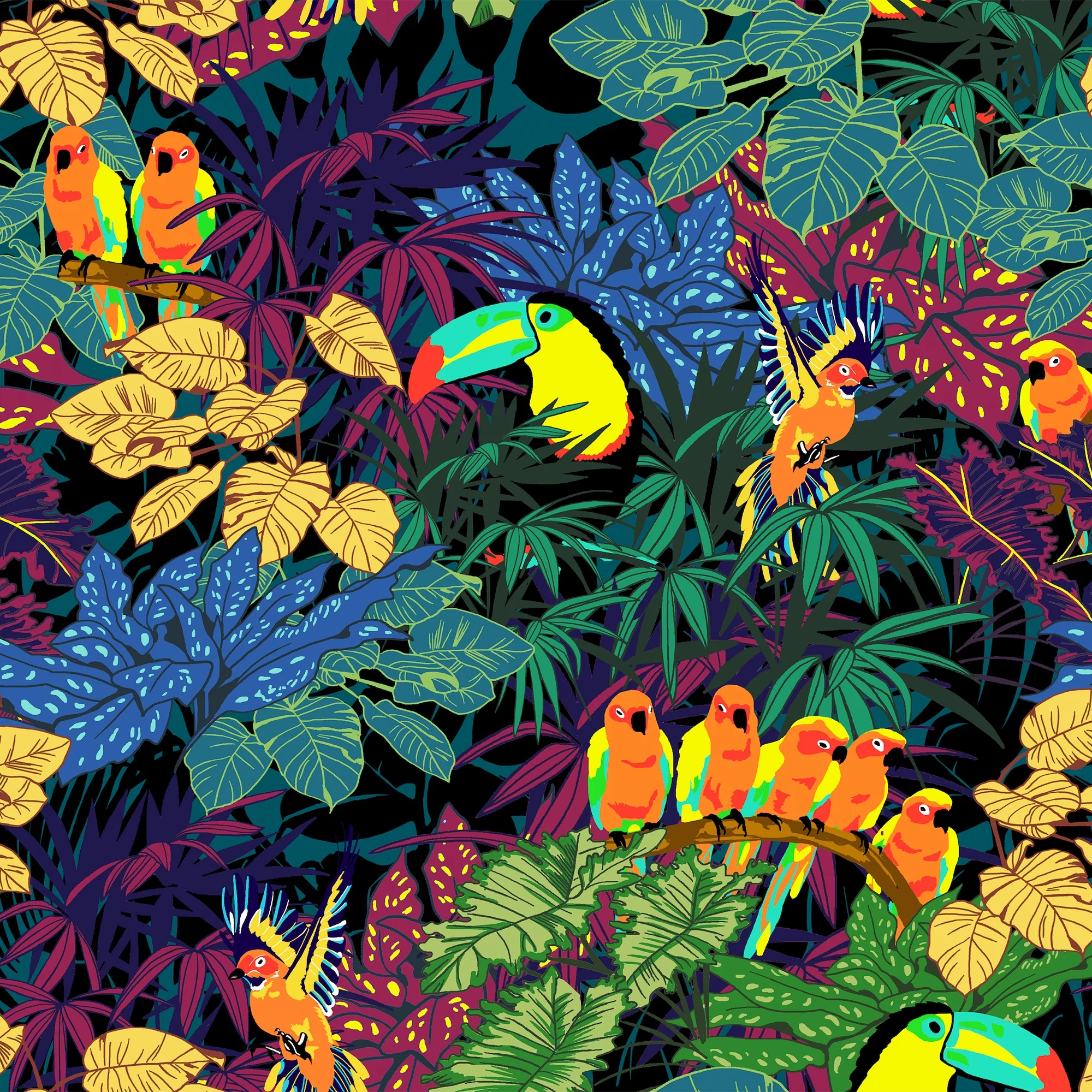 tropical+birds+web.jpg