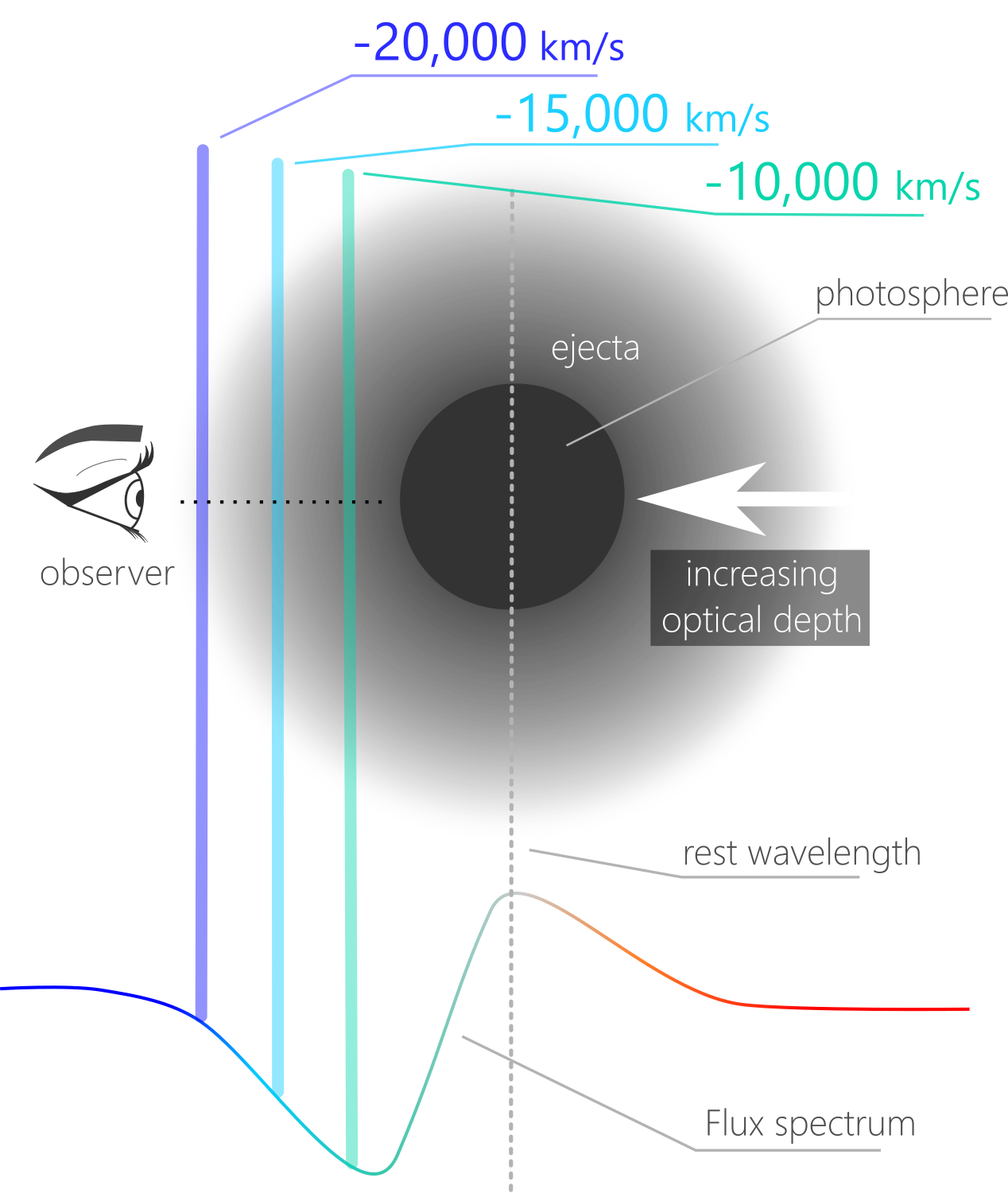 Figure 8: Velocity slices (represented by the vertical blue lines) and P Cygni profile.