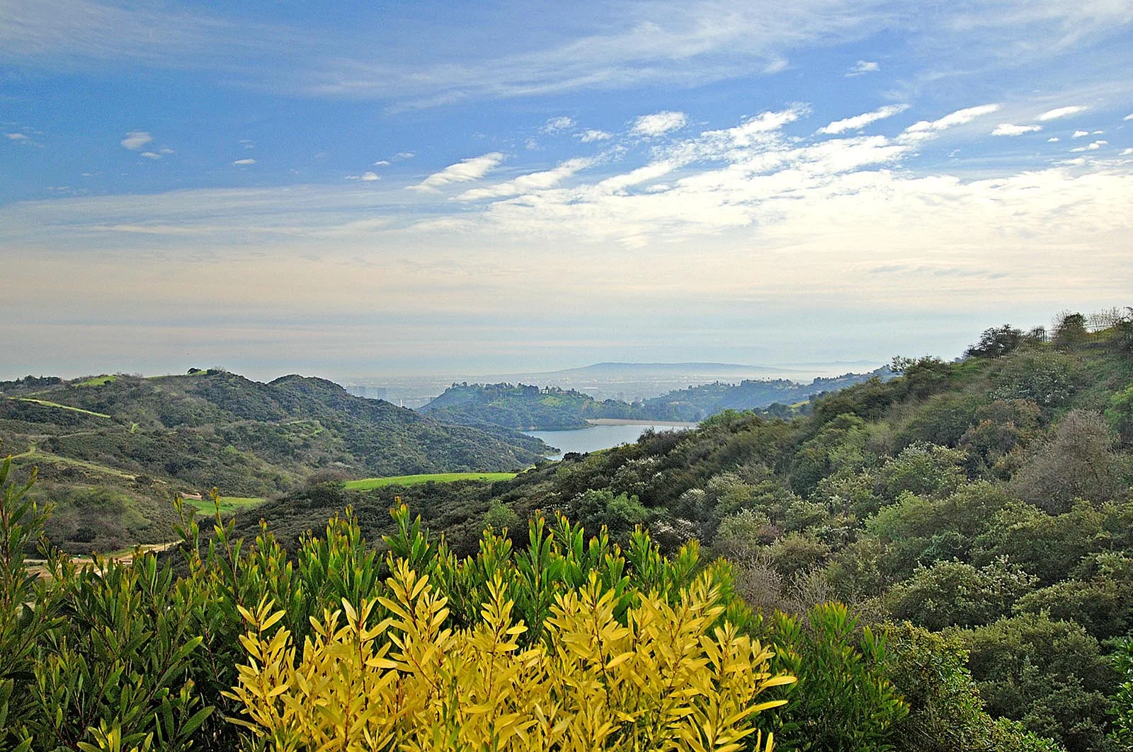 20090224-2-1689-010.jpg