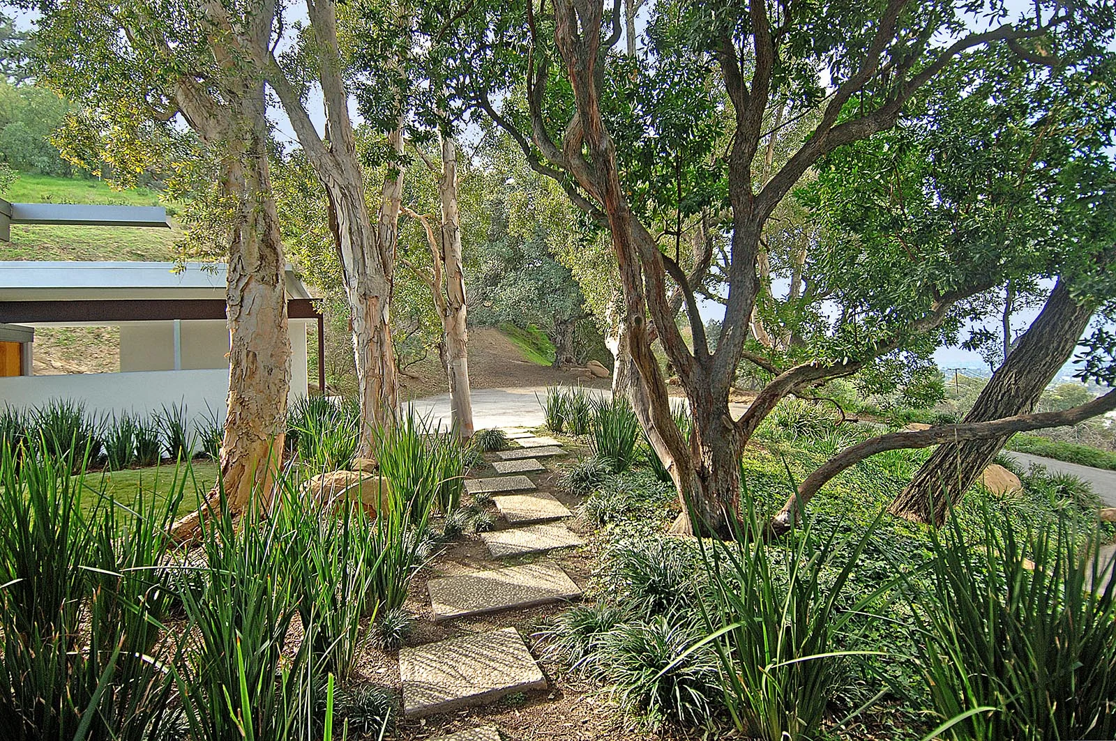 20090224-2-2234-010.jpg