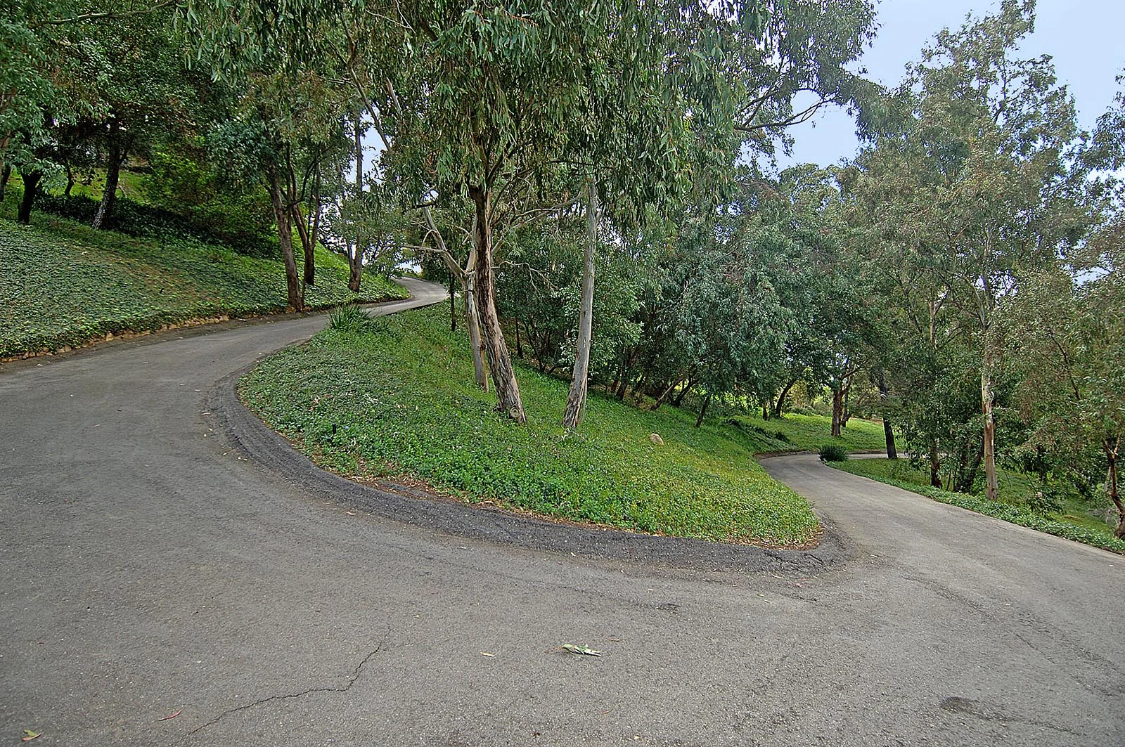 20090224-2-2252-010.jpg