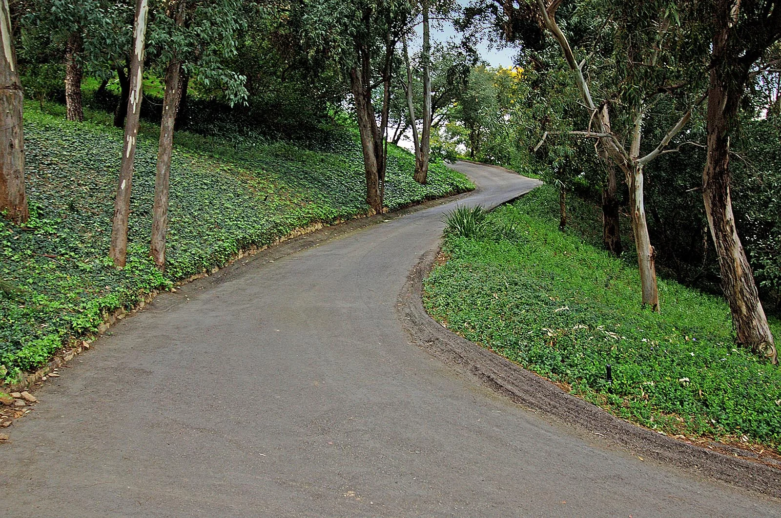 20090303-2-0132-010.jpg