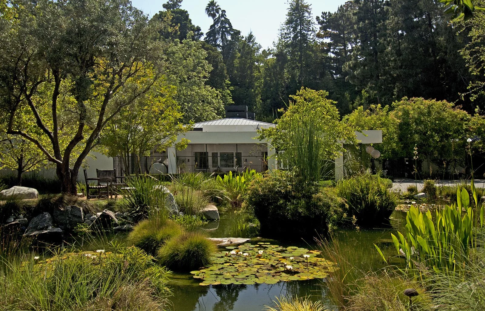 20110524-1-0561-012-MEDIUM.jpg