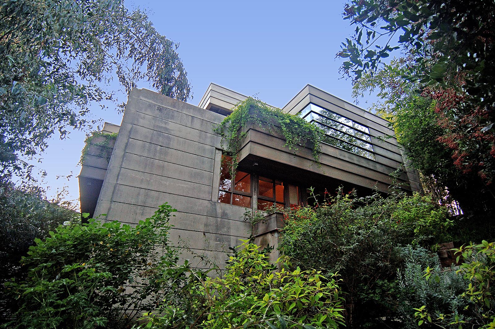 20091109-1-1067-010-MEDIUM.jpg