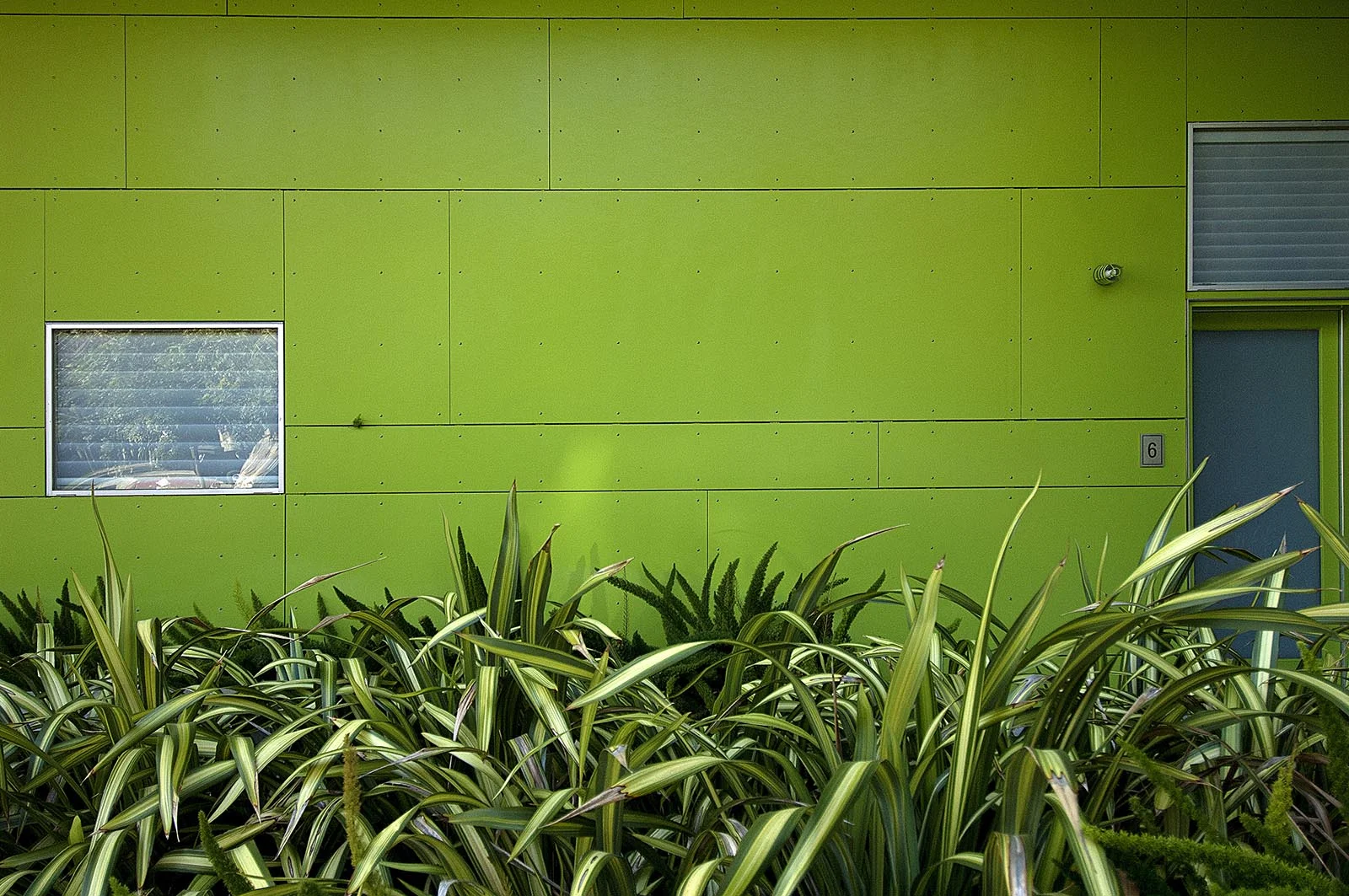 20110112-1-0048-010-MEDIUM.jpg