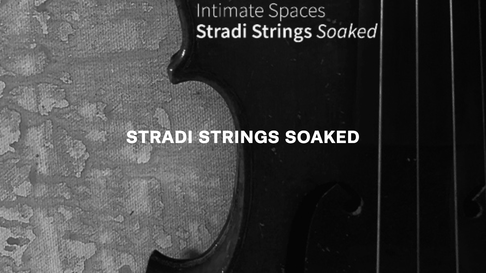 stradi strings text.jpg