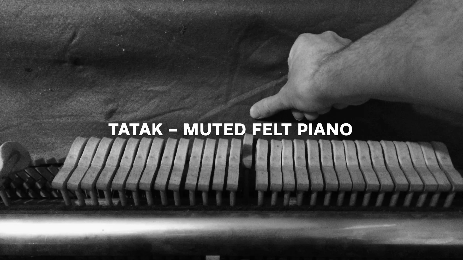 Tatak Muted Felt.jpg