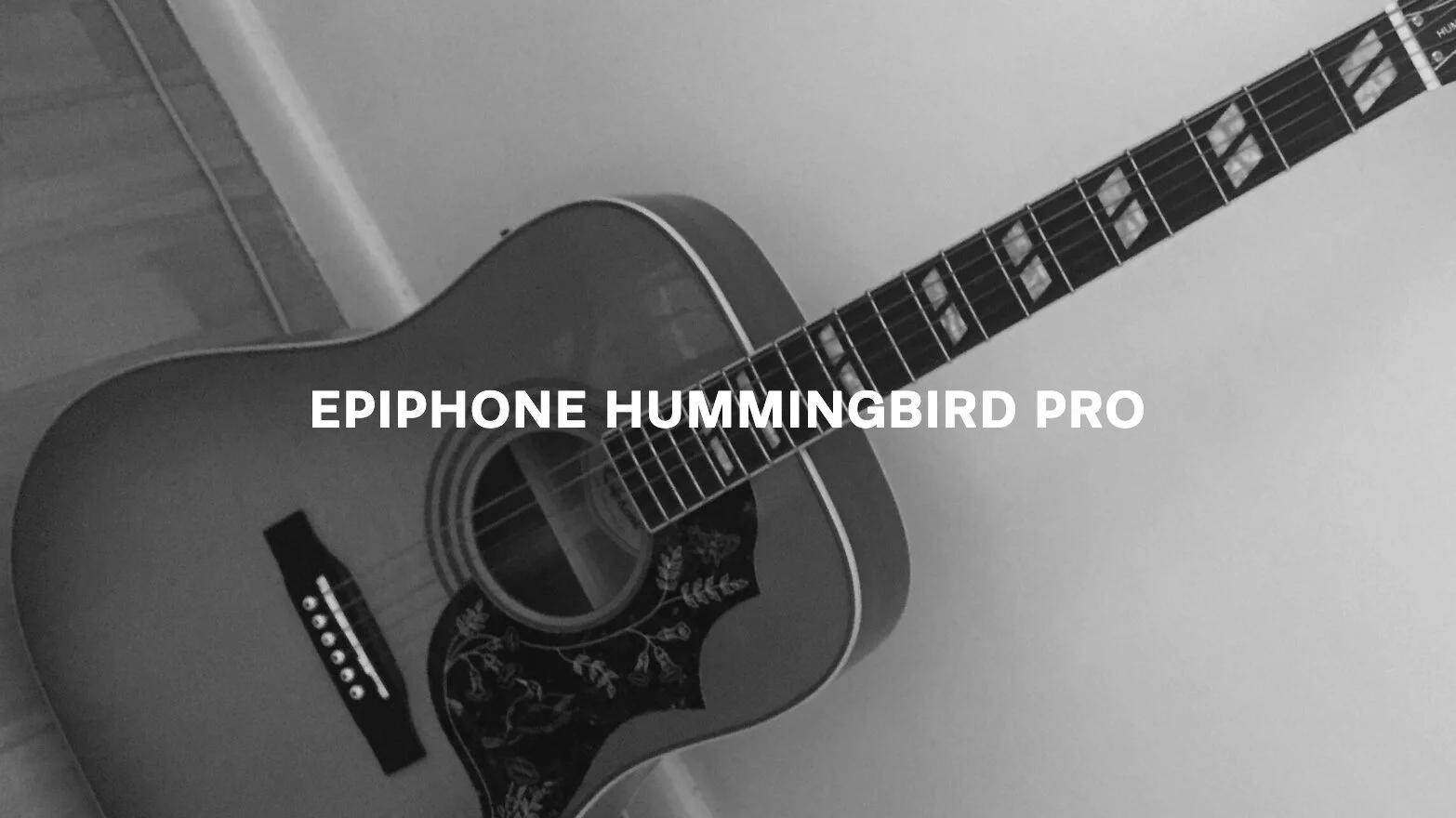 Hummingbird Pro Text.jpg
