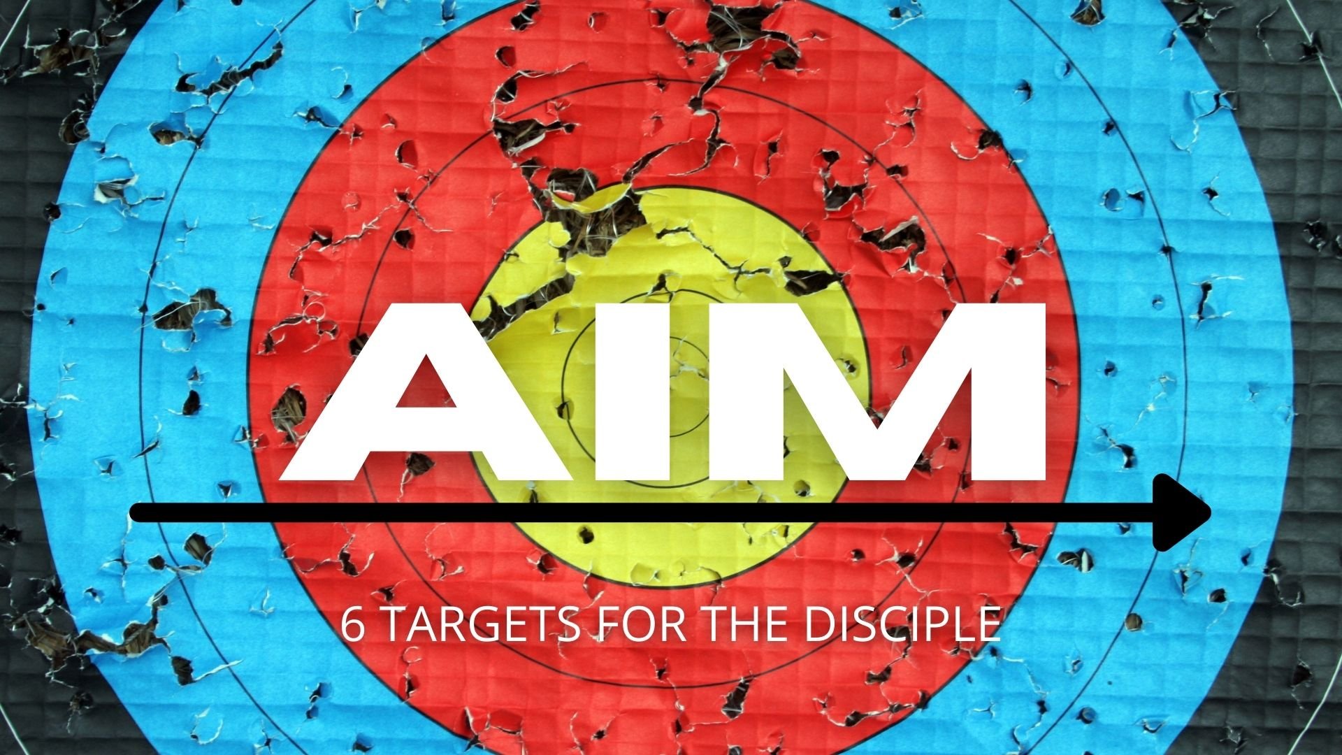 AIM Series