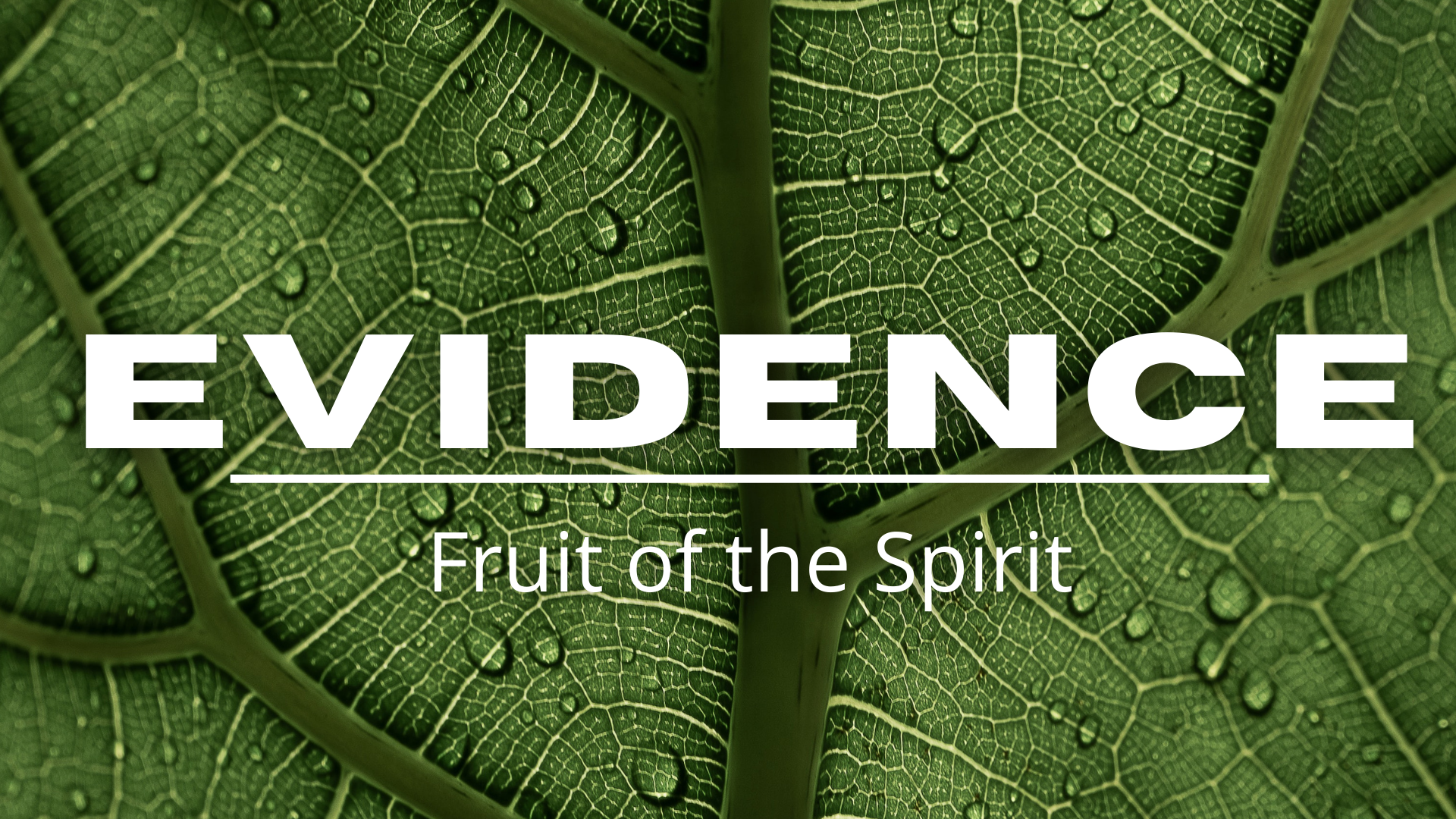 EVIDENCE: The Fruits of the Spirit