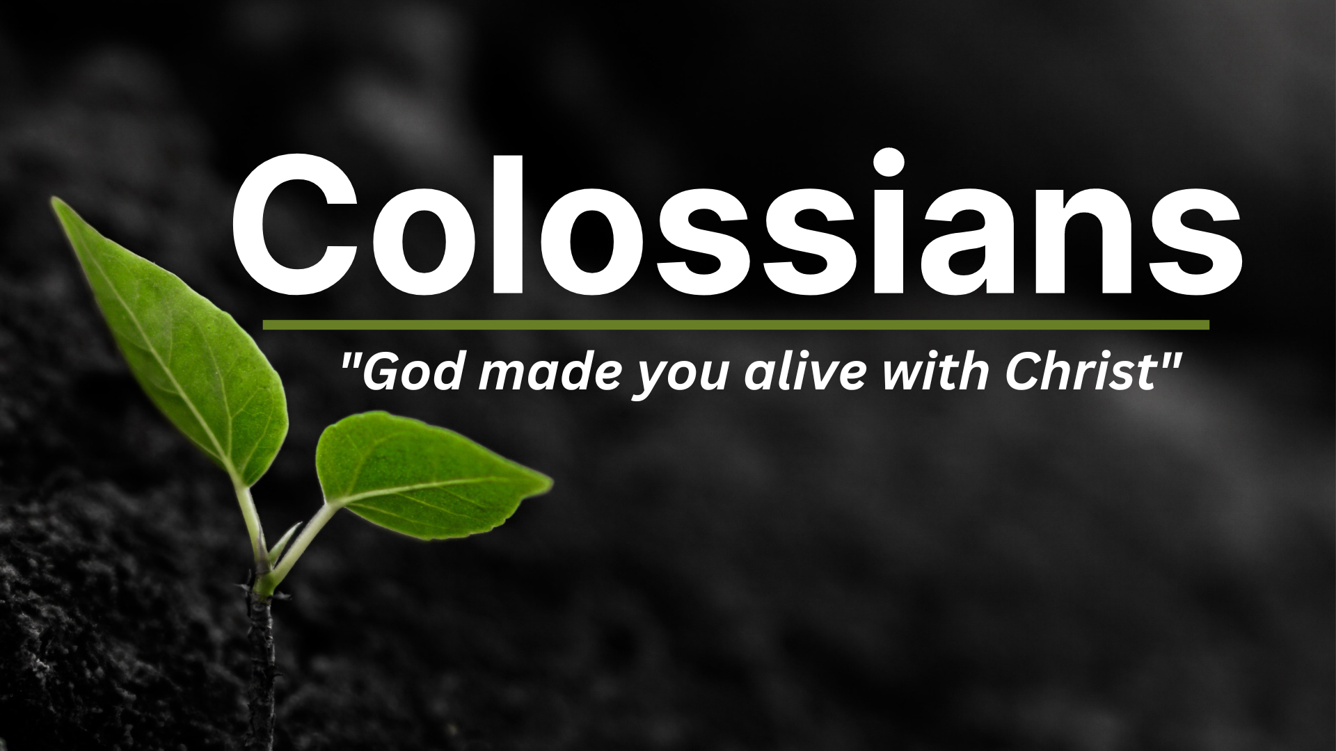 Colossians: God mad you Alive in Christ