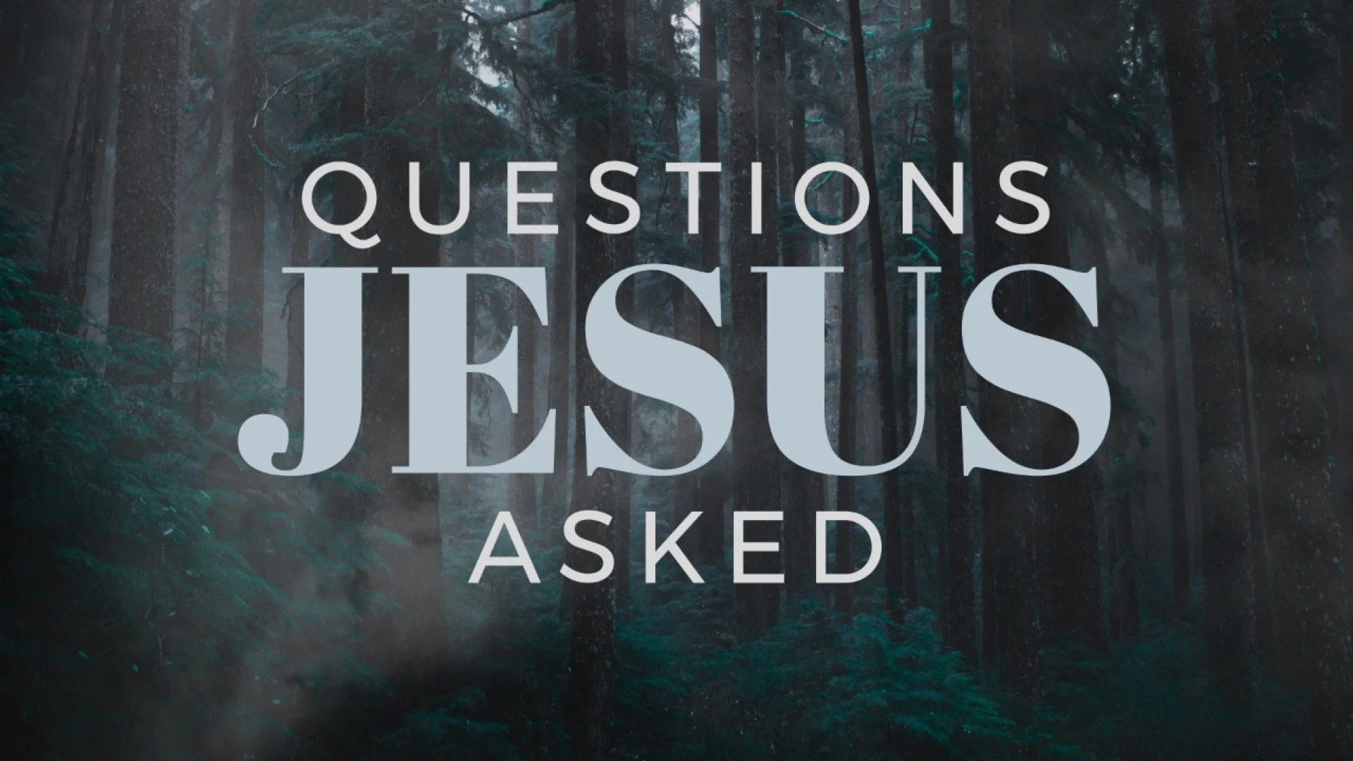 Questions Jesus Asked