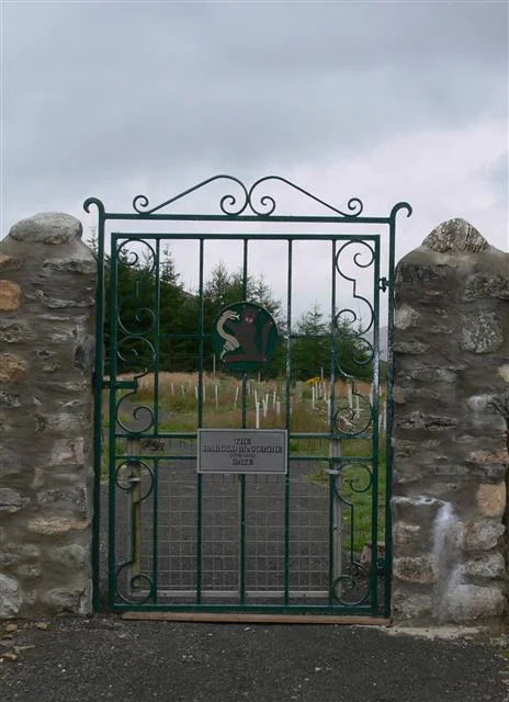 home2.jpg