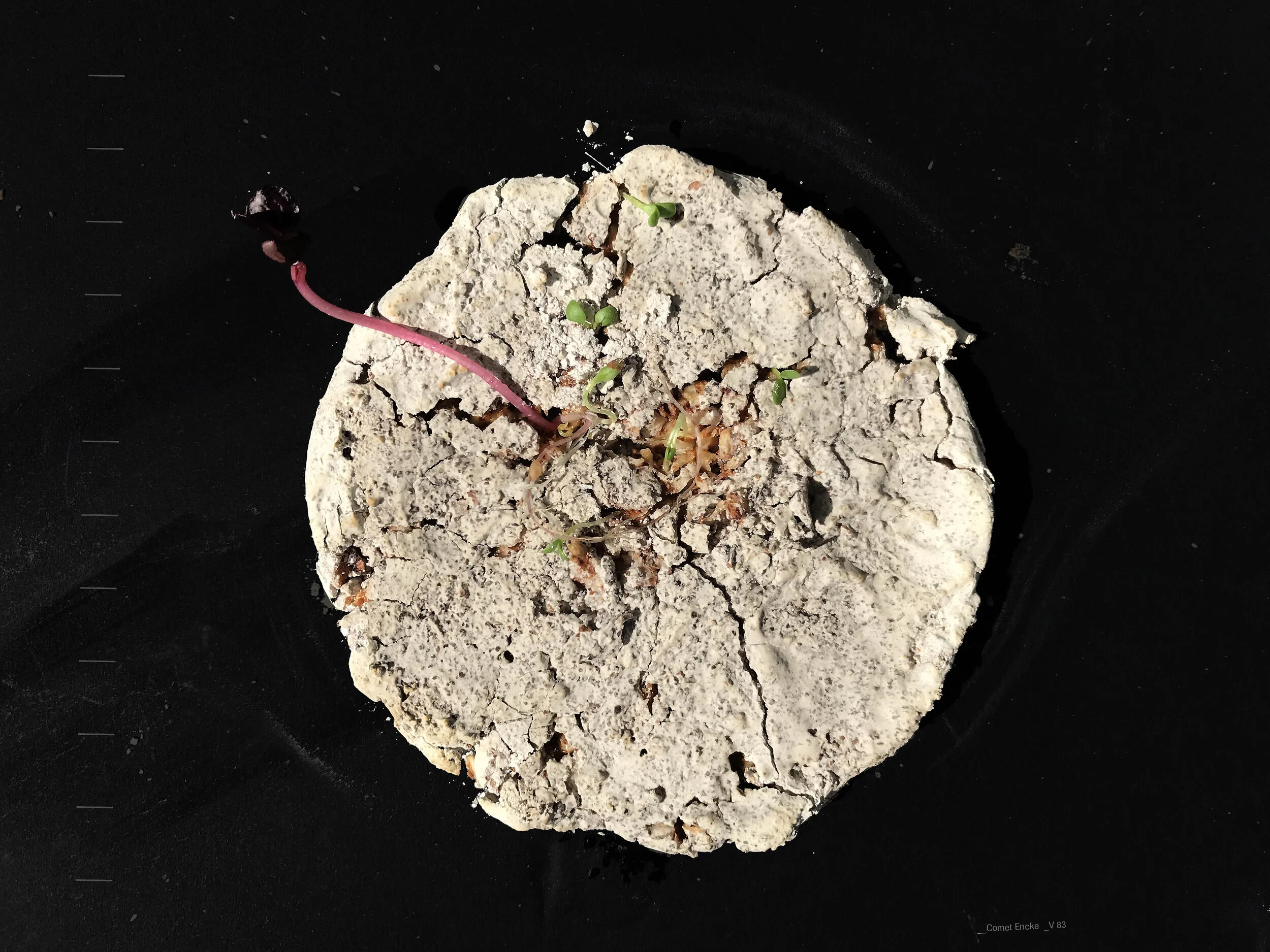  The real challenge lies in balancing durability with eco-consciousness, but with innovation on the rise, biodegradable materials are stepping in to help us create structures that are as transient as life itself, without leaving behind a legacy of de