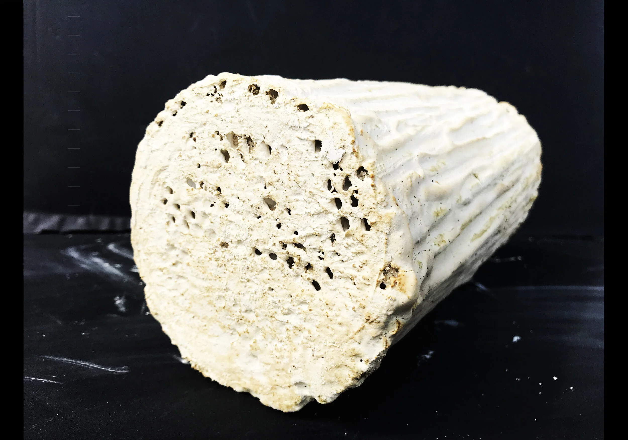  Biodegradable materials offer a provocative alternative. From mycelium bricks to bamboo panels, these materials break down naturally over time, reducing waste and minimizing the carbon footprint of buildings. They aren't just a trend; they're a retu