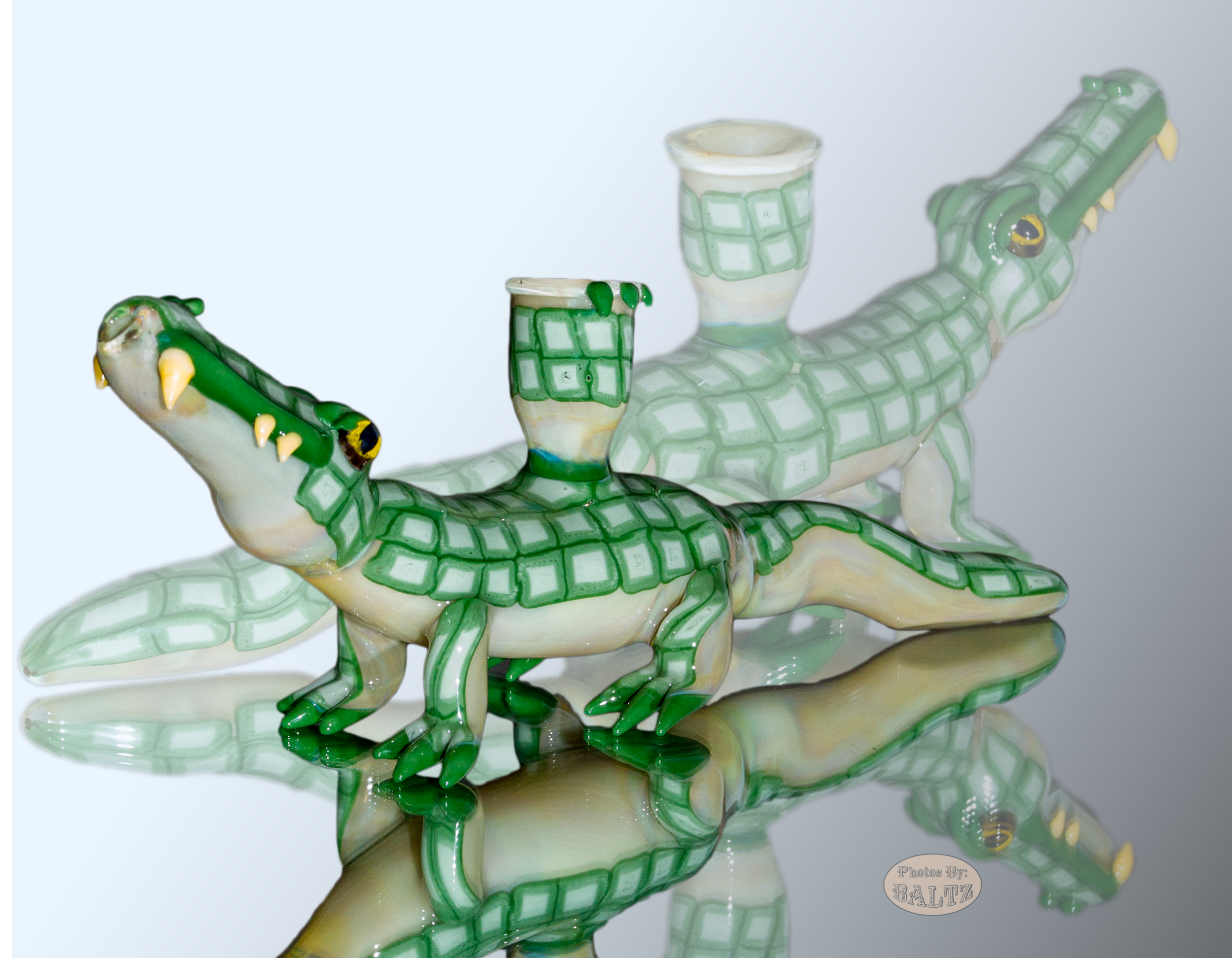 Alligator.jpg