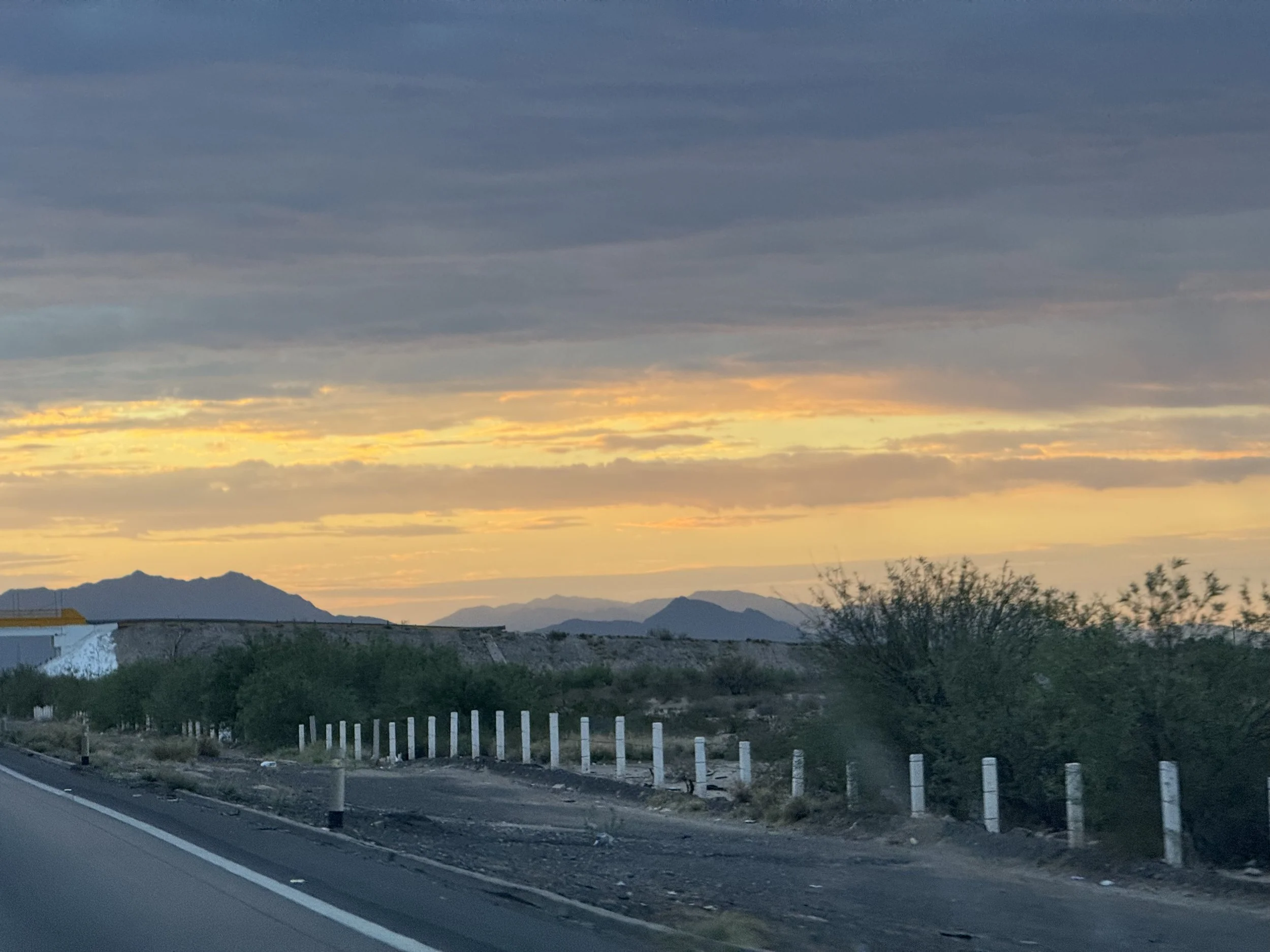 IMG_2335.jpg