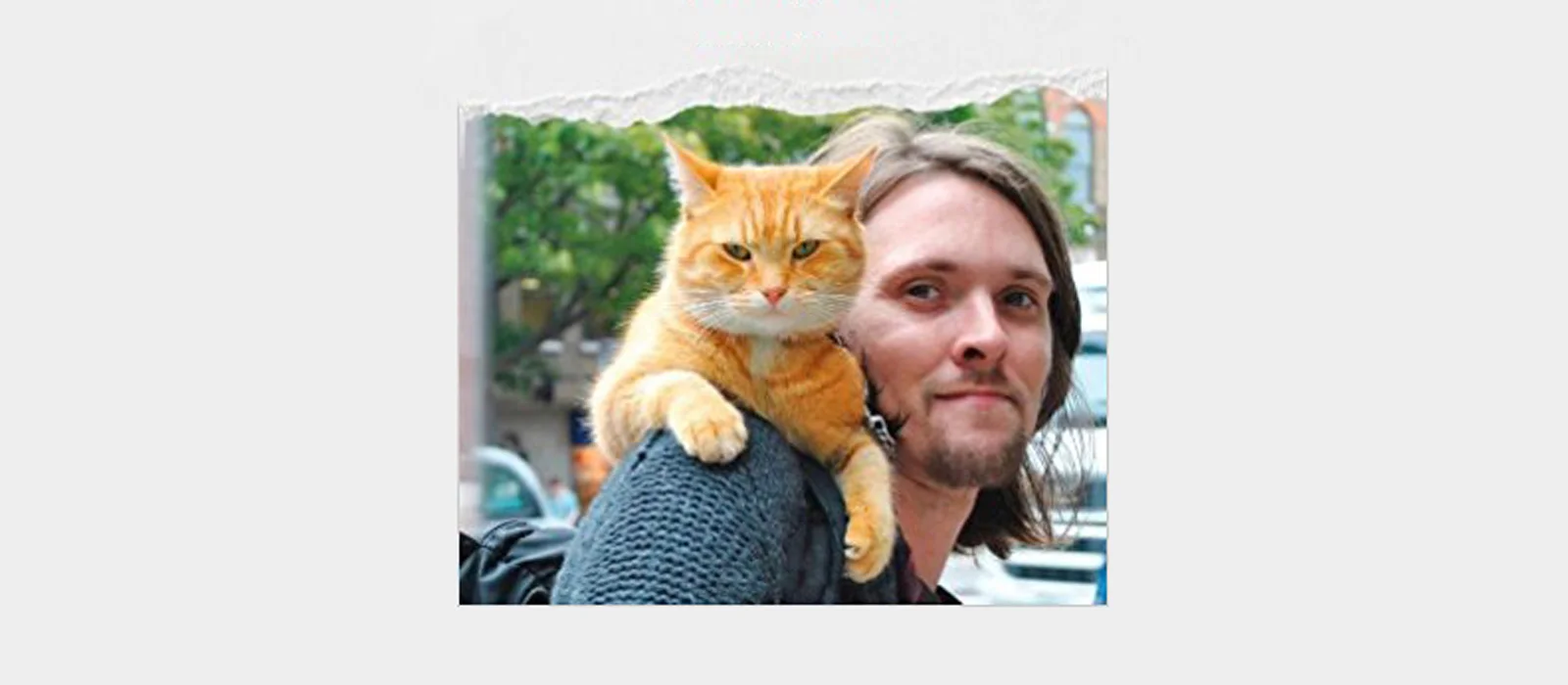 A Street Cat Named Bob