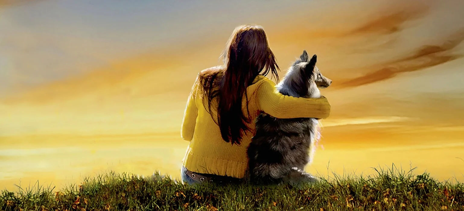 The Dog Who Danced