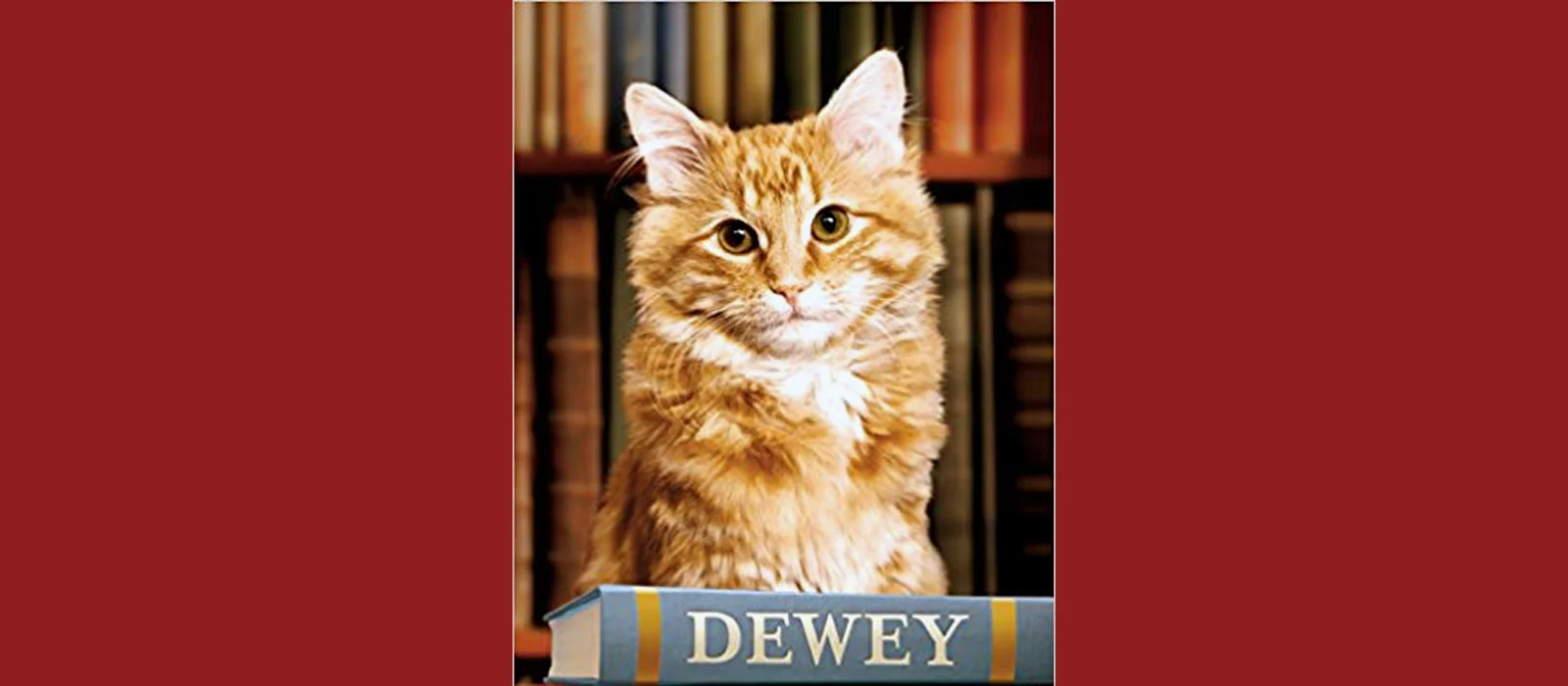 Dewey