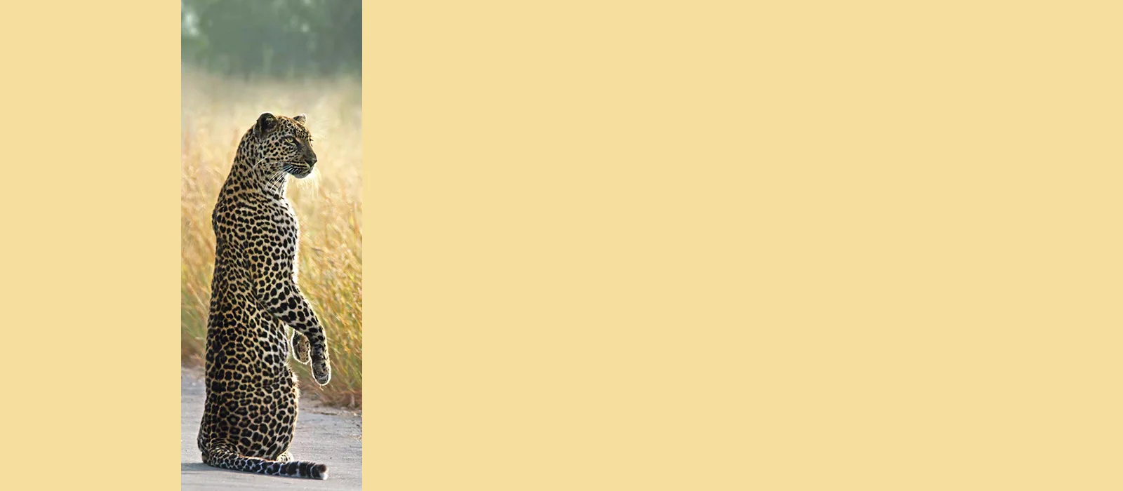 Volume 29: April 28, 2019