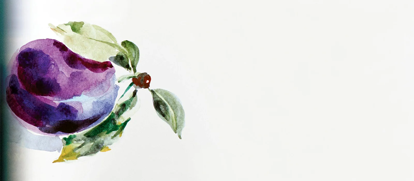 Save Me the Plums