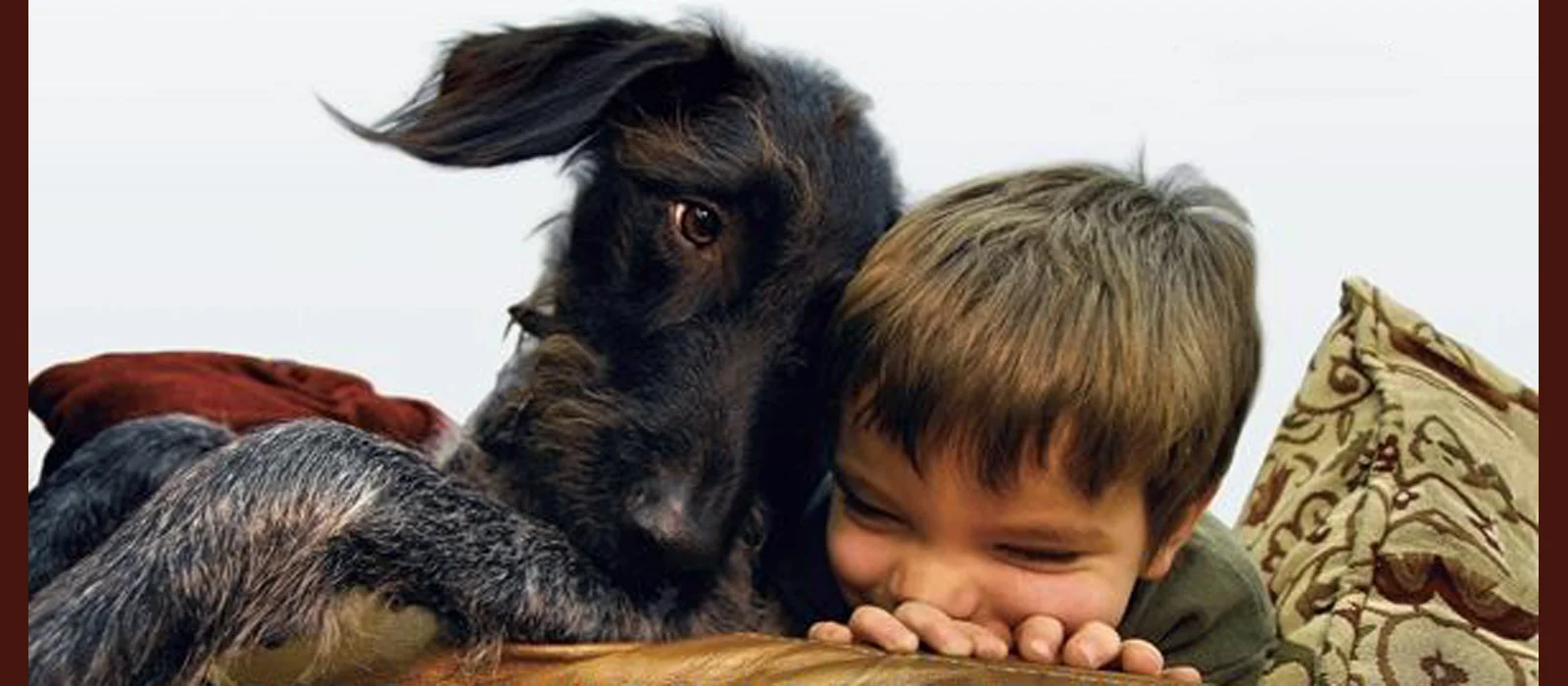 The Dog Who Couldn’t Stop Loving