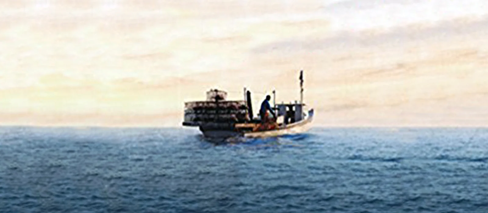 Volume 3: In Memory of Bolt 2018