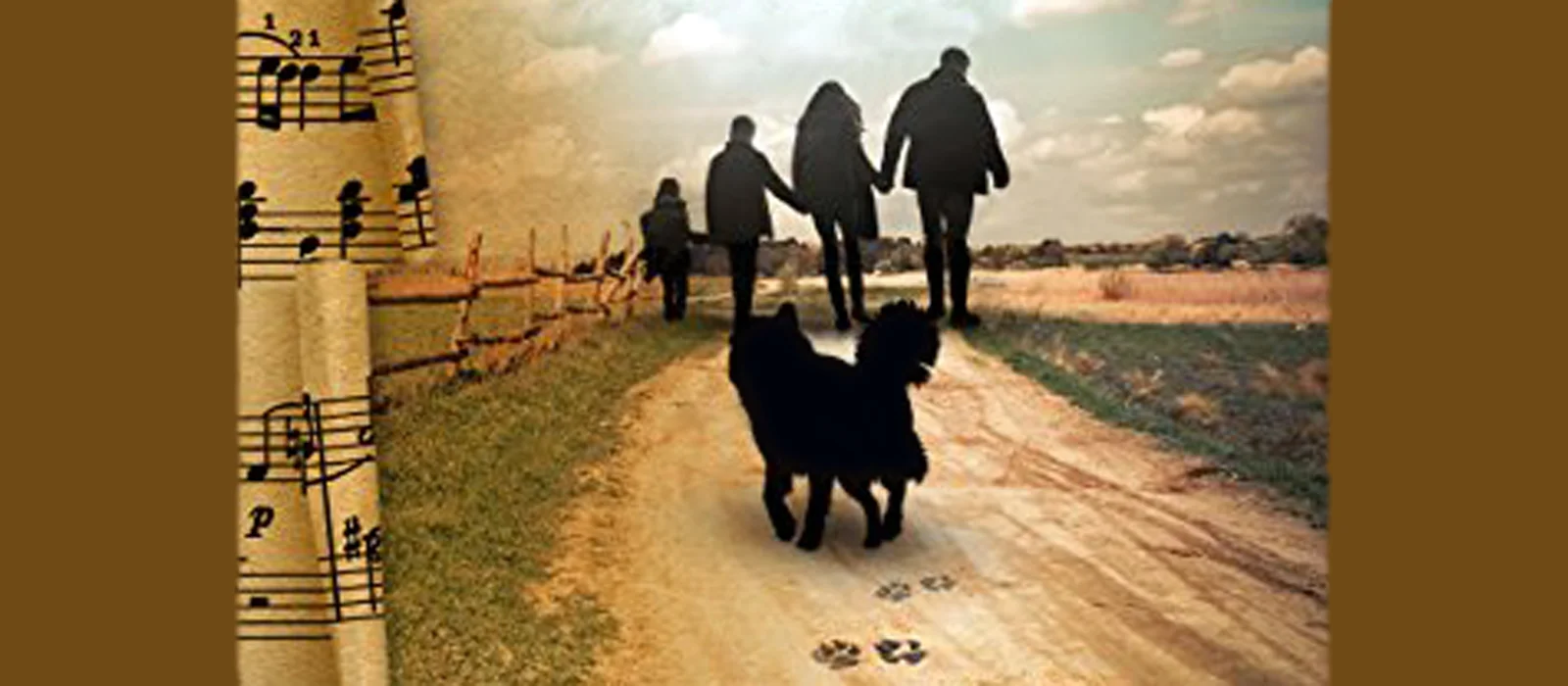 A Dog’s Luck