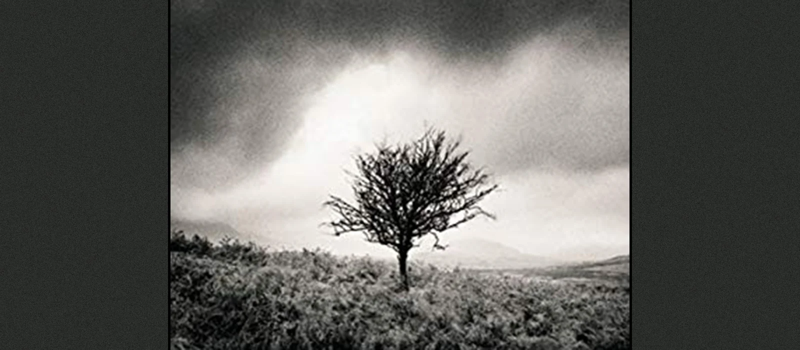 A Place to Stand