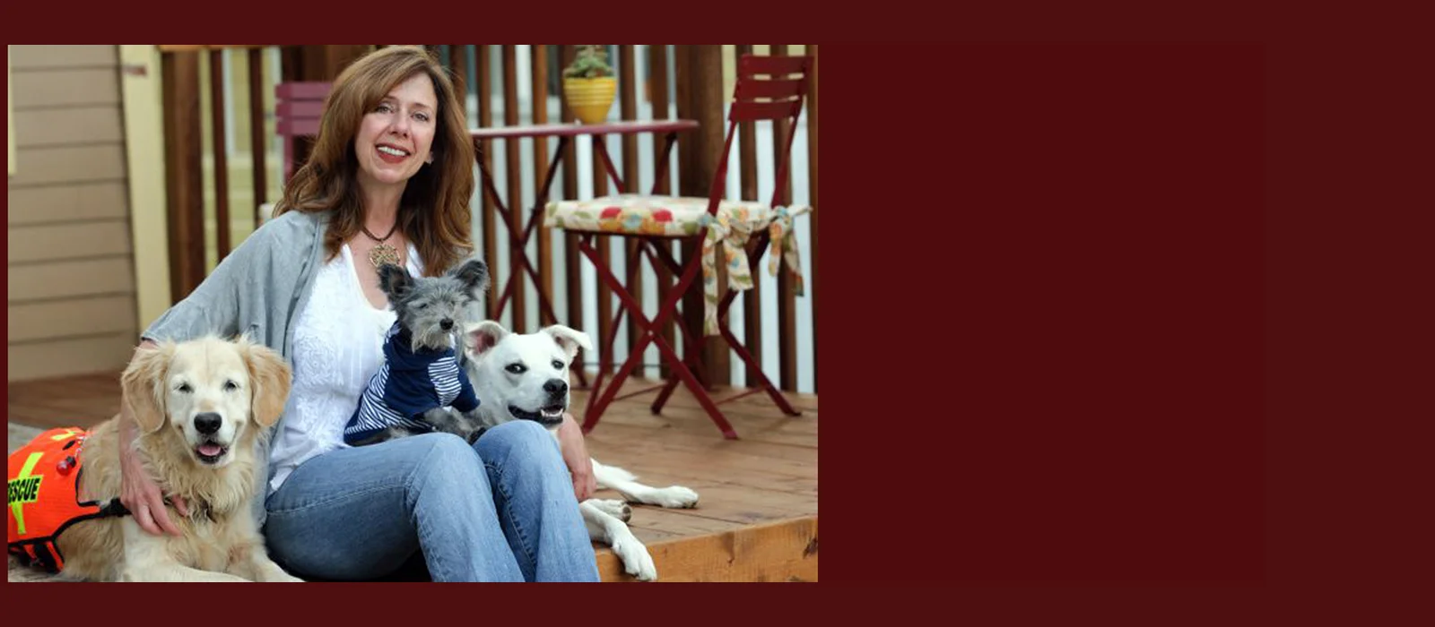 The Possibility Dogs