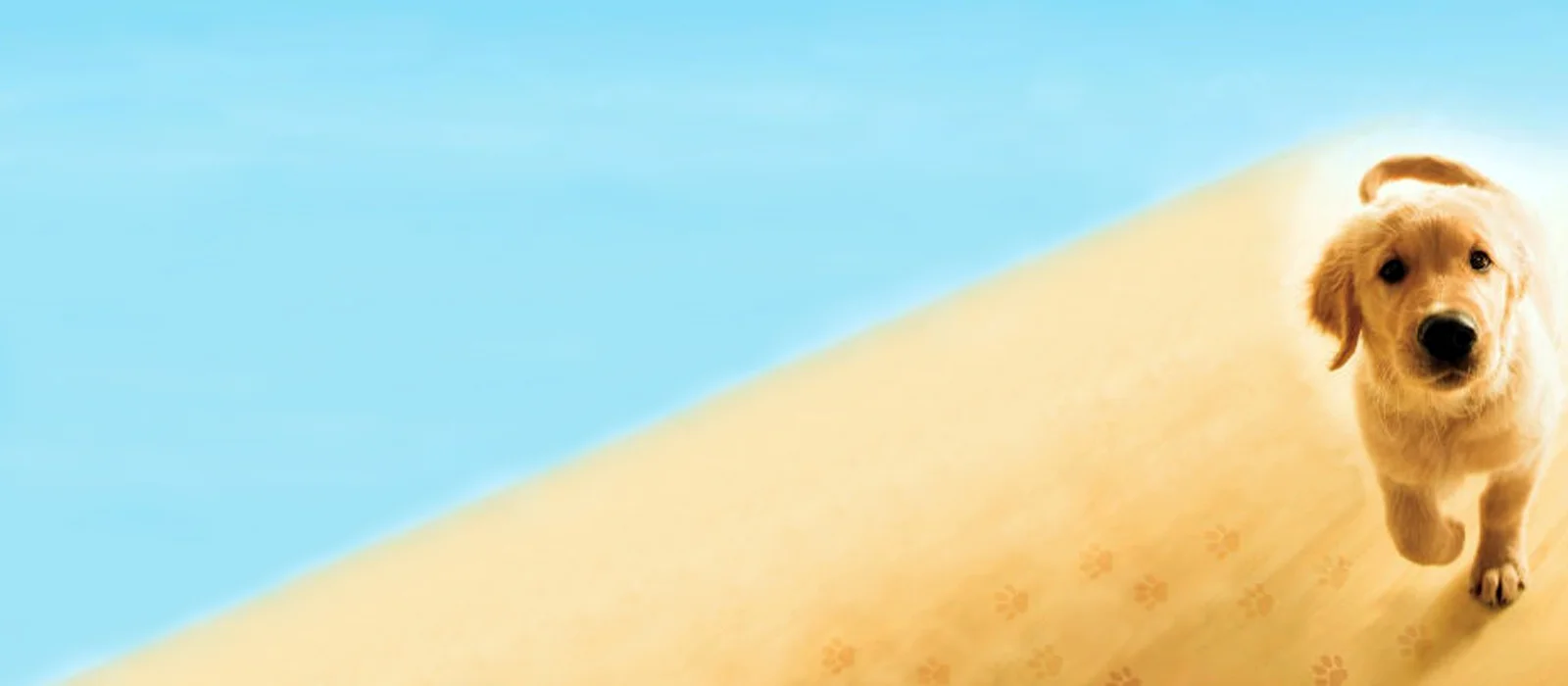 I Will See You in Heaven