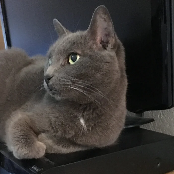 6DVRProfile.jpg