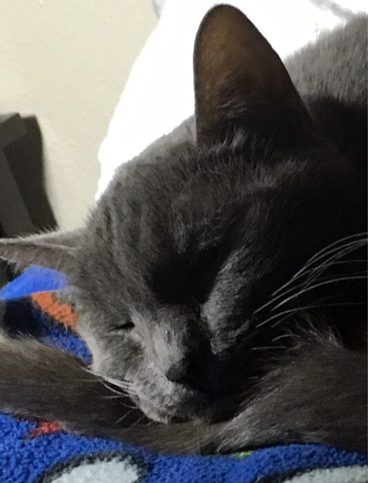 8FaceSleeping.jpg