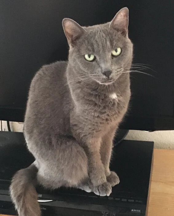 20ElegantSittingUp.jpg