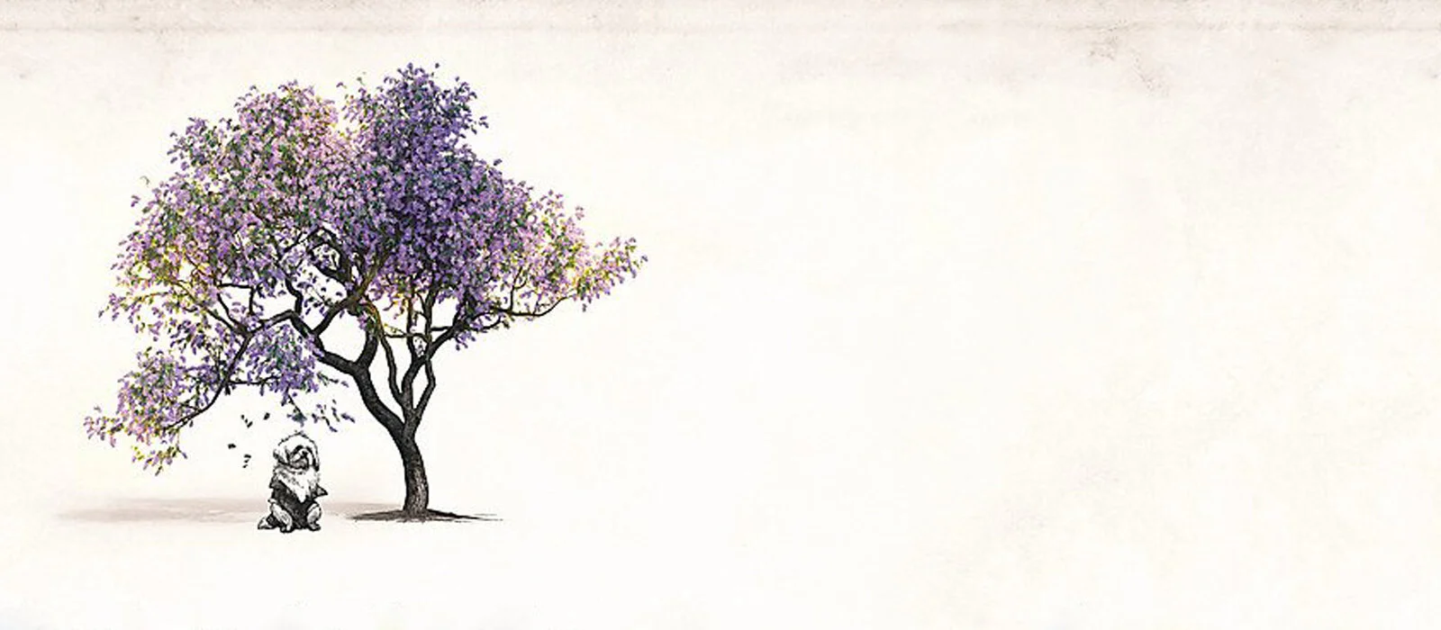 The Single Ladies of Jacaranda Retirement Village