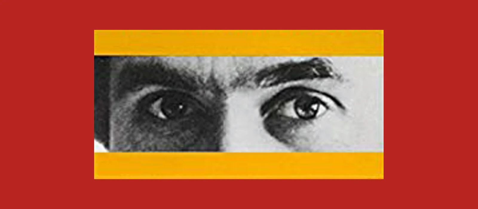 TheStrangerBesideMeBanner.jpg