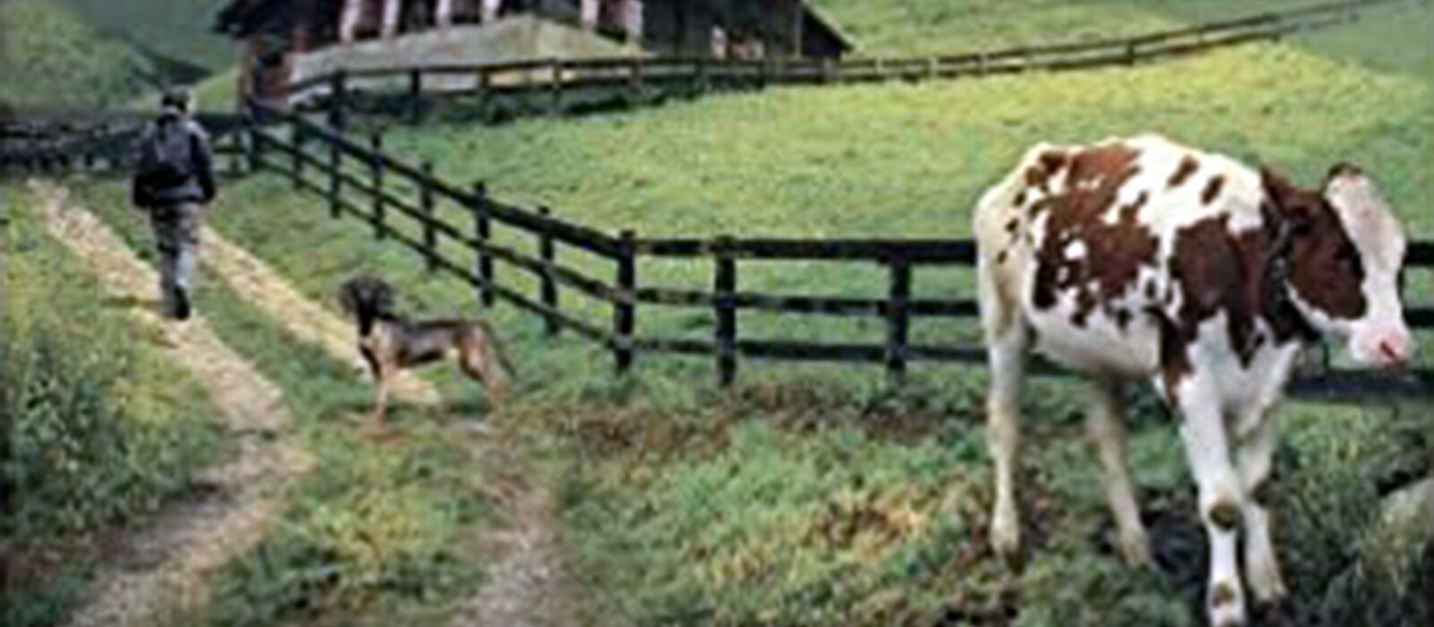 Volume 78:  April 26, 2020