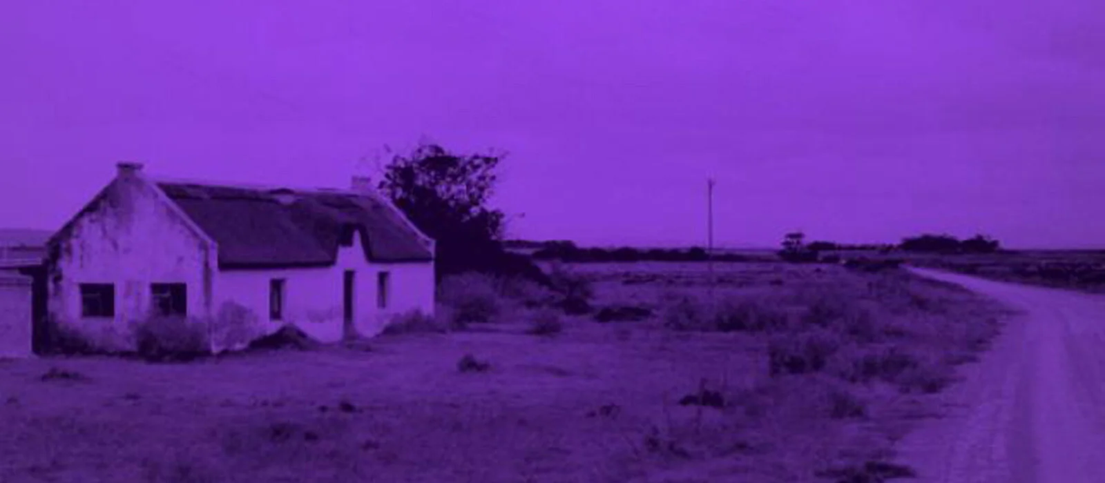 The Color Purple, Book 1
