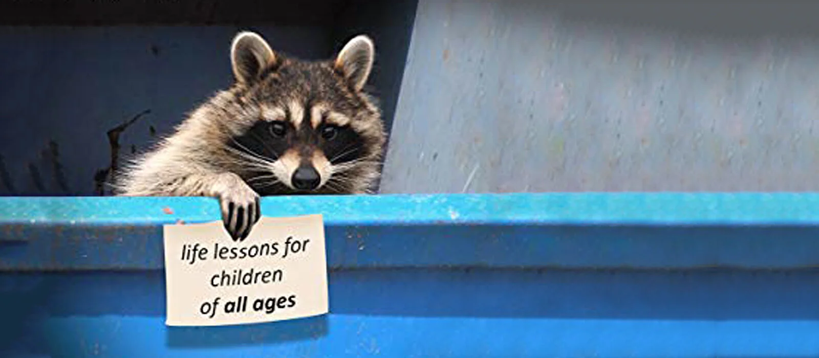 Never Buy a Raccoon at a Gas Station