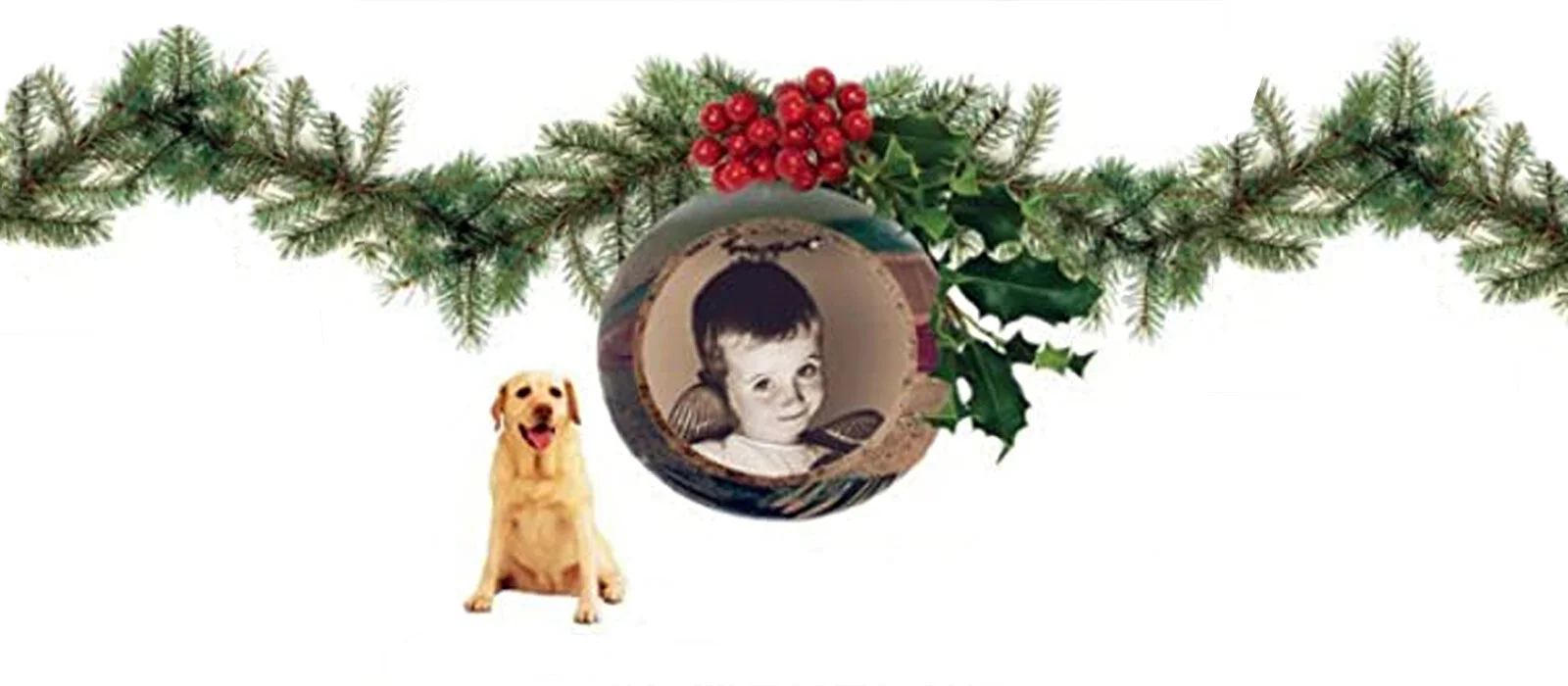 The Shepherd, the Angel, and Walter the Christmas Miracle Dog