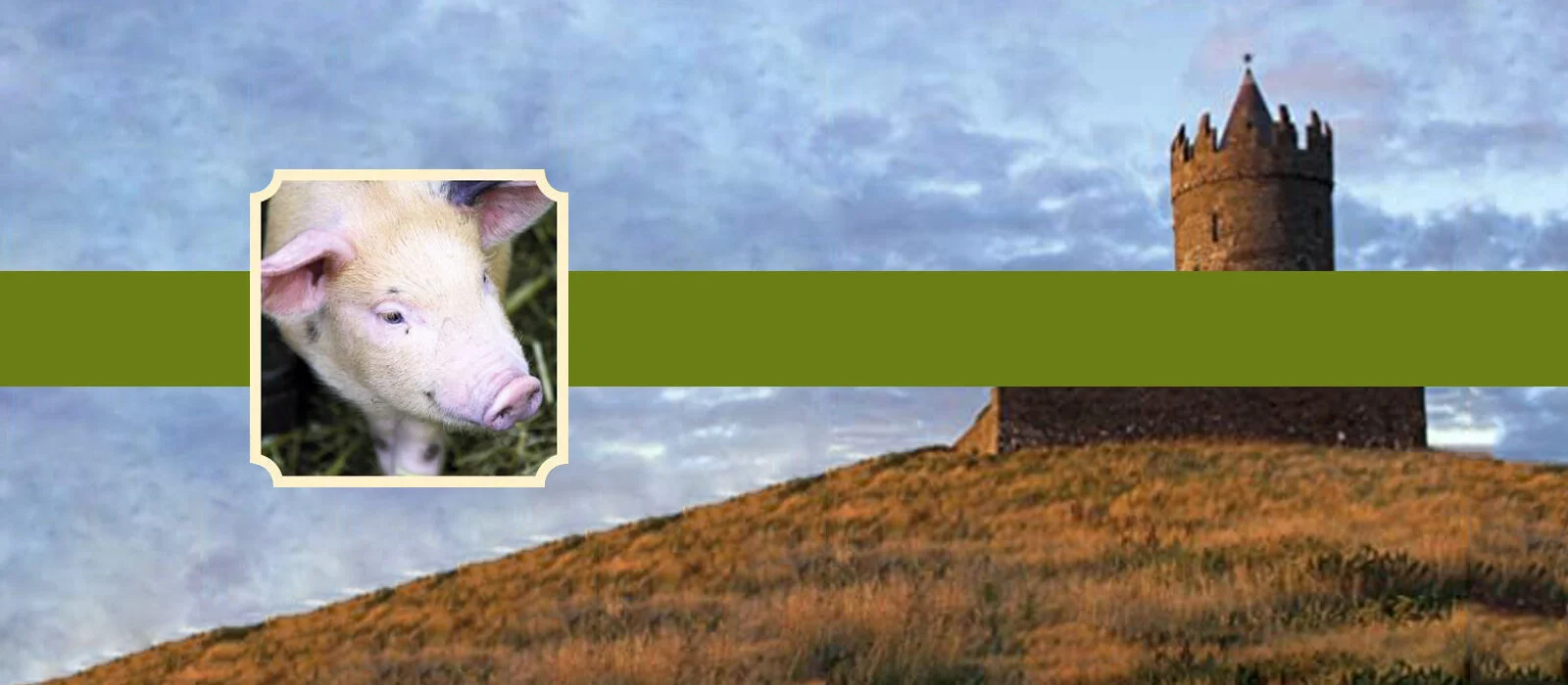 The Pig Comes to Dinner