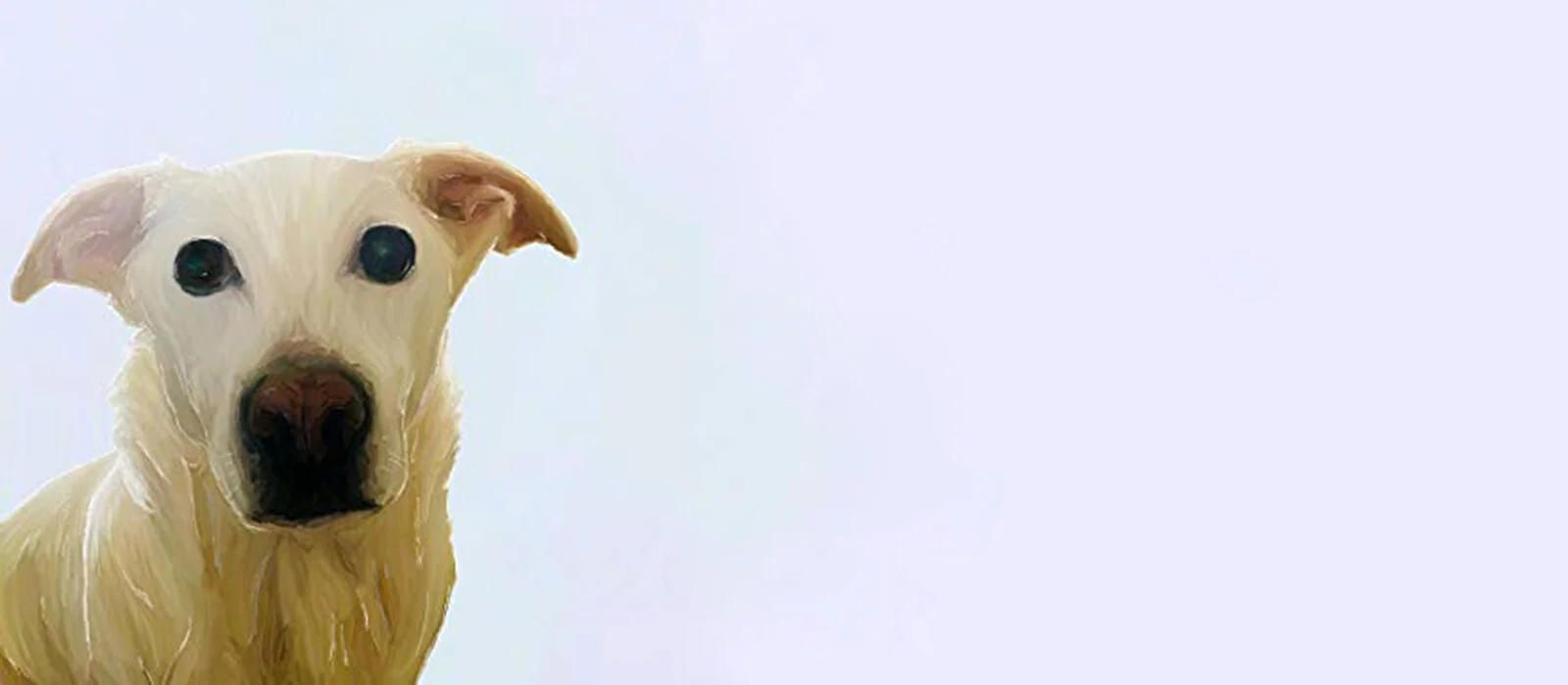 Dog Not in Charge