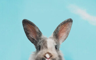 Audiobook Accomplice Favorite Biographies and Memoirs