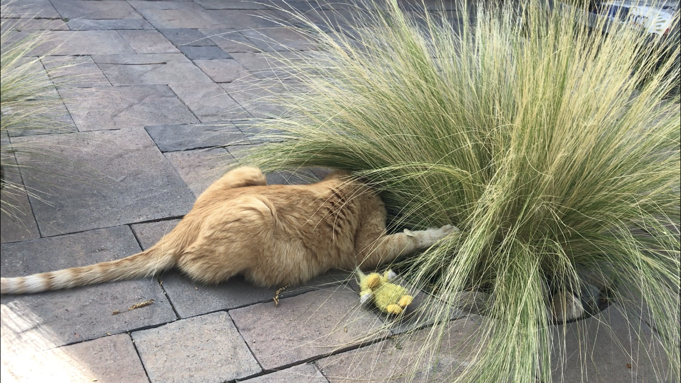 Volume 160: November 28, 2021